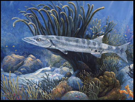 475x359 Barracuda Painting Archives - Barracuda Painting