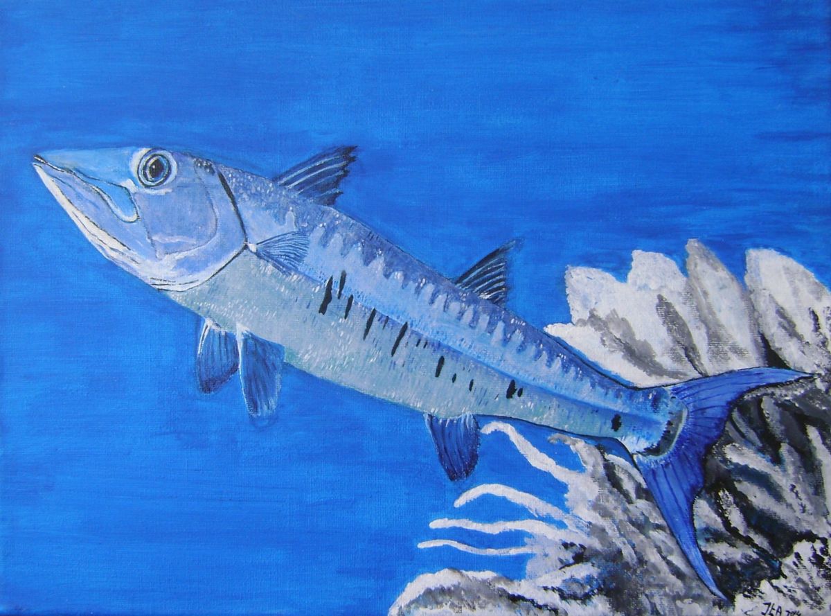 1200x889 Great Barracuda Fish (Ita Mercera) - Barracuda Painting