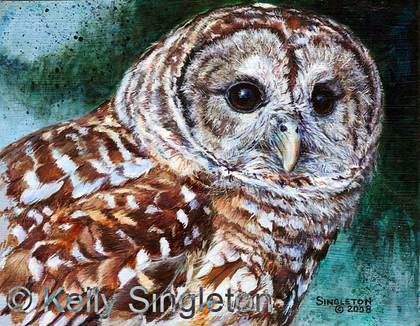 Barred Owl Painting at PaintingValley.com | Explore collection of ...