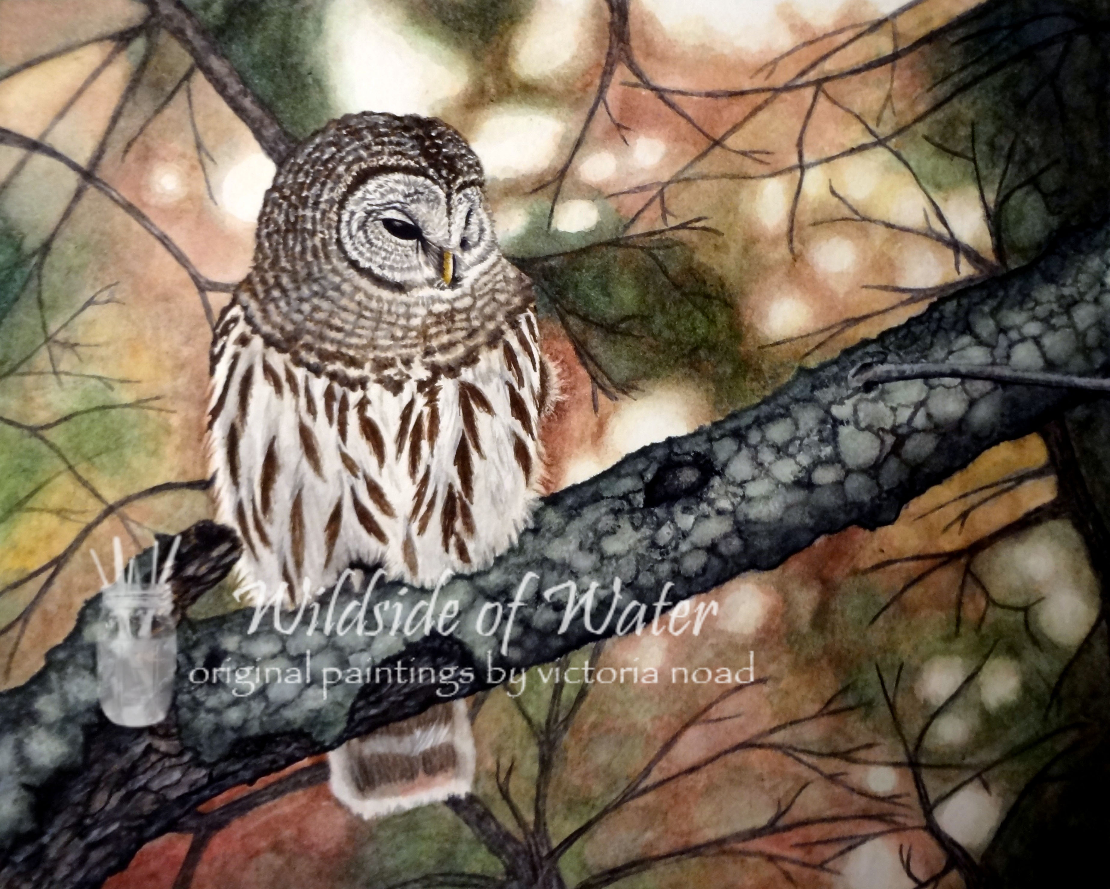 3691x2956 Print Of Barred Owl Original Watercolor Painting, X 2012 - Barred Owl Painting