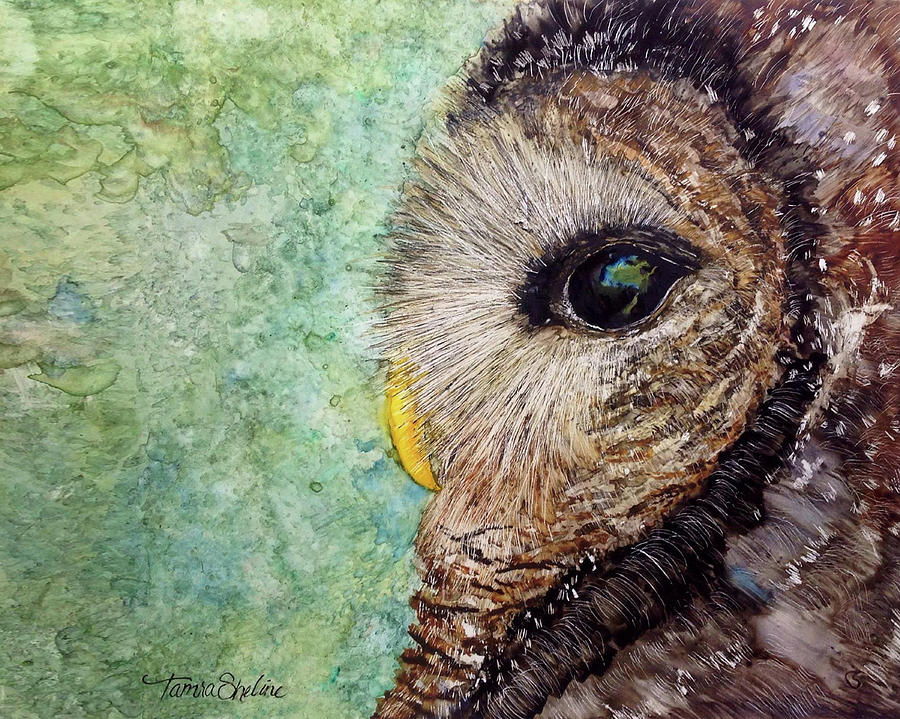 900x719 Wise Barred Owl Painting By Tamra Sheline - Barred Owl Painting