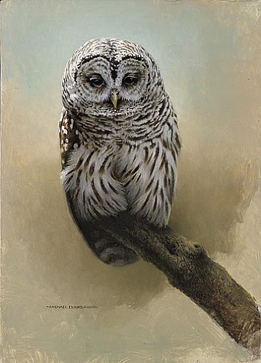 366x510 Barred Owl - Barred Owl Painting