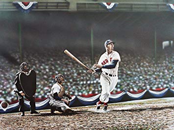 355x266 Buyartforless Canvas Ted Williams Swing By Darryl - Baseball Player Painting
