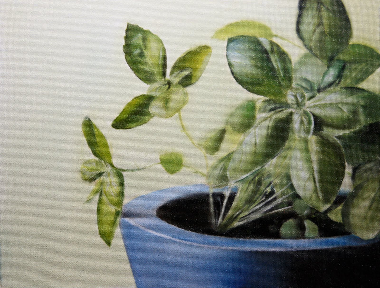 1600x1213 Drawings Amp Paintings By Jonathan Aller Basil Plant - Basil Painting