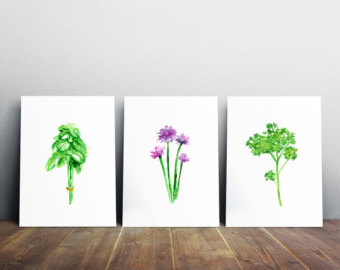 340x270 Herbs And Plants Set Of 8 Watercolor Painting Green Decor - Basil Painting