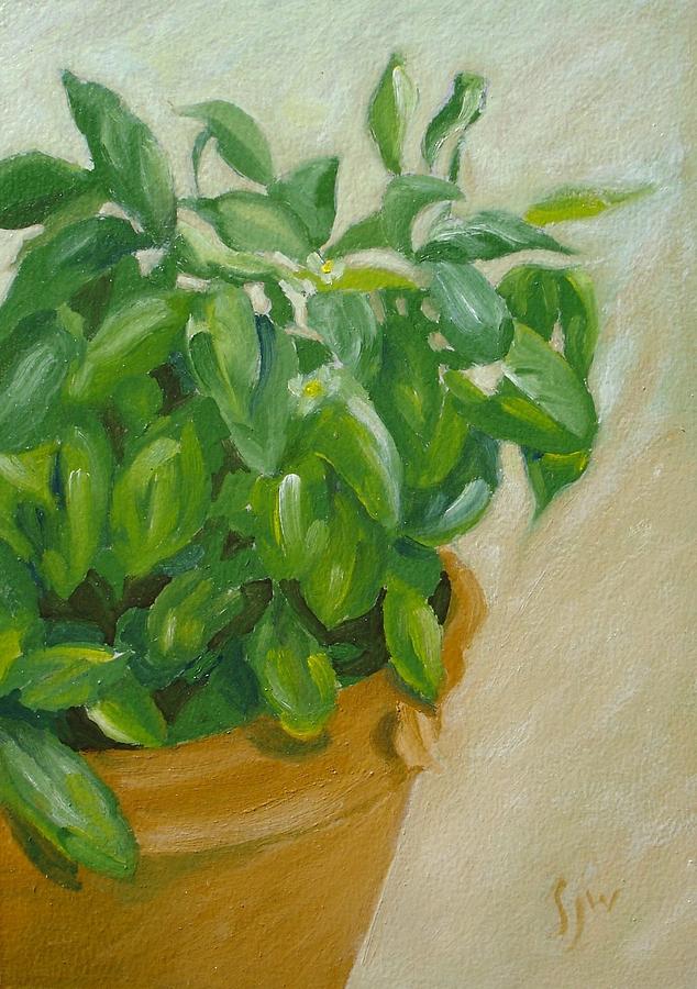 634x900 Pot Of Basil Painting By S Josephine Weaver - Basil Painting