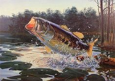 236x168 9 Best Largemouth Bass Fish Paintings Images On Fish - Bass Fish Painting