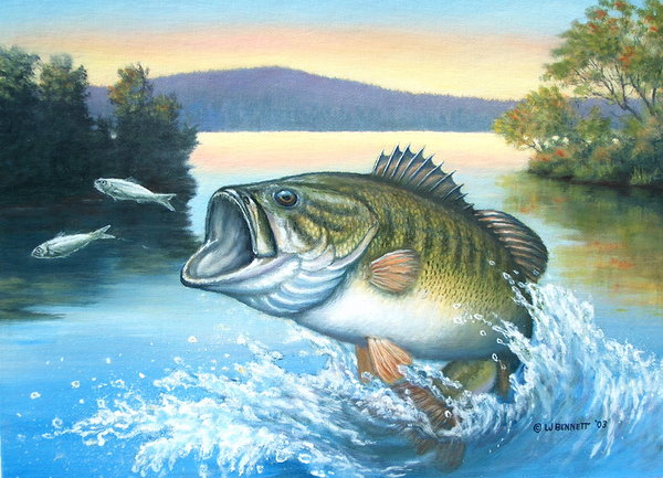 600x433 Bass After Minnows By Traits - Bass Fish Painting