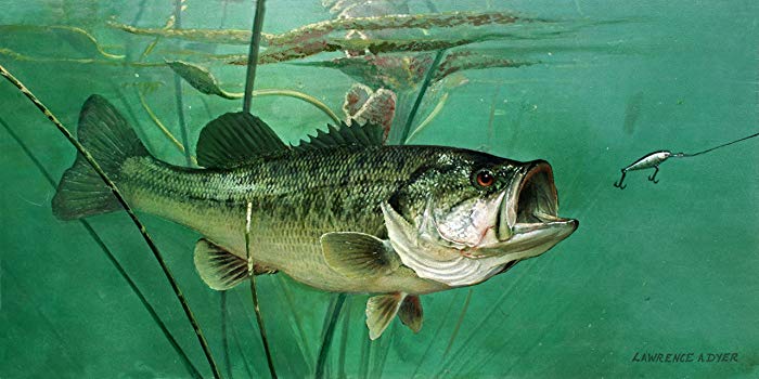 700x350 Largemouth Bass Original Acrylic Painting By Lawrence - Bass Fish Painting
