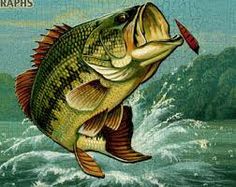 236x187 Bass Fish Jumping Bass Jumping Fishing Fish - Bass Fish Painting