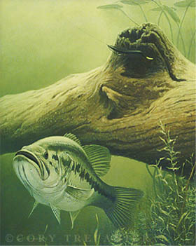 280x351 Caught On Canvas Bass Painting, Fish Prints Collection - Bass Painting