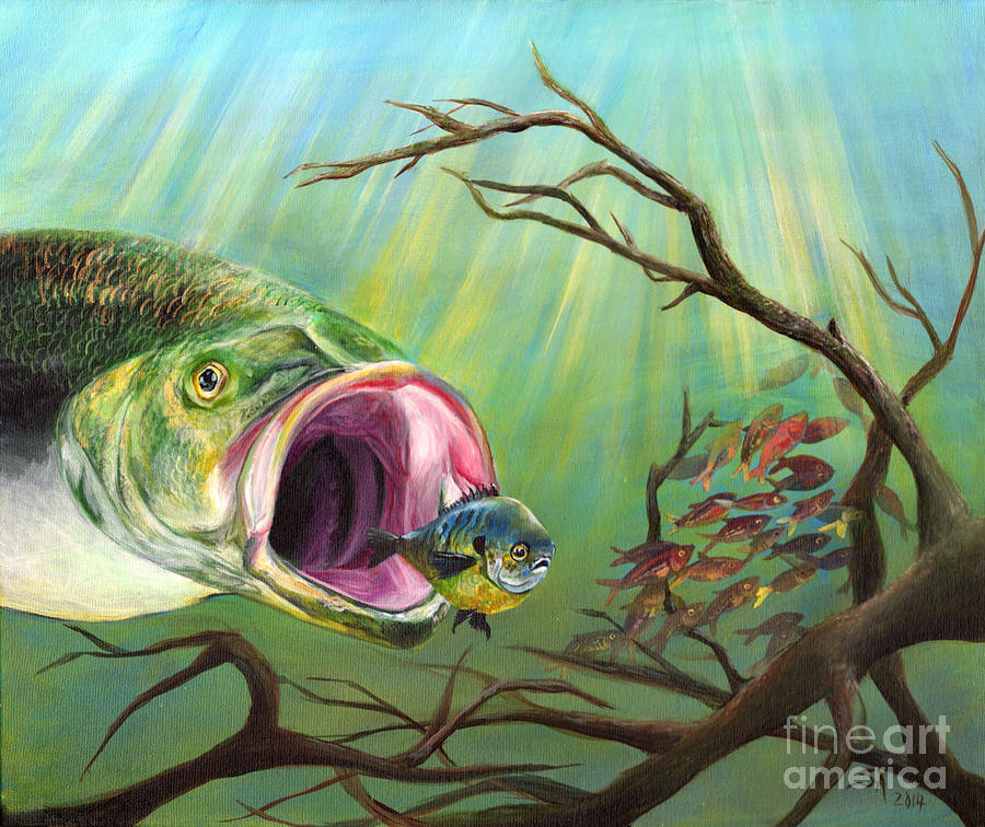 900x756 Large Mouth Bass And Clueless Fish Painting By Sonya Barnes - Bass Painting