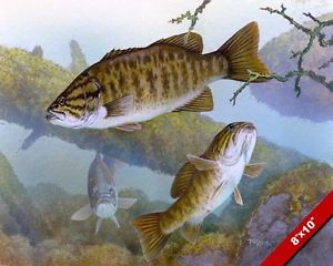 300x240 Small Mouth Bass Underwater Lake Fish Oil Painting Art Real Canvas - Bass Painting