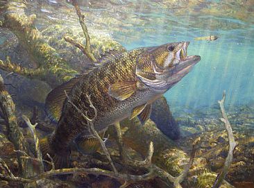 366x271 Smallmouth Bass - Bass Painting