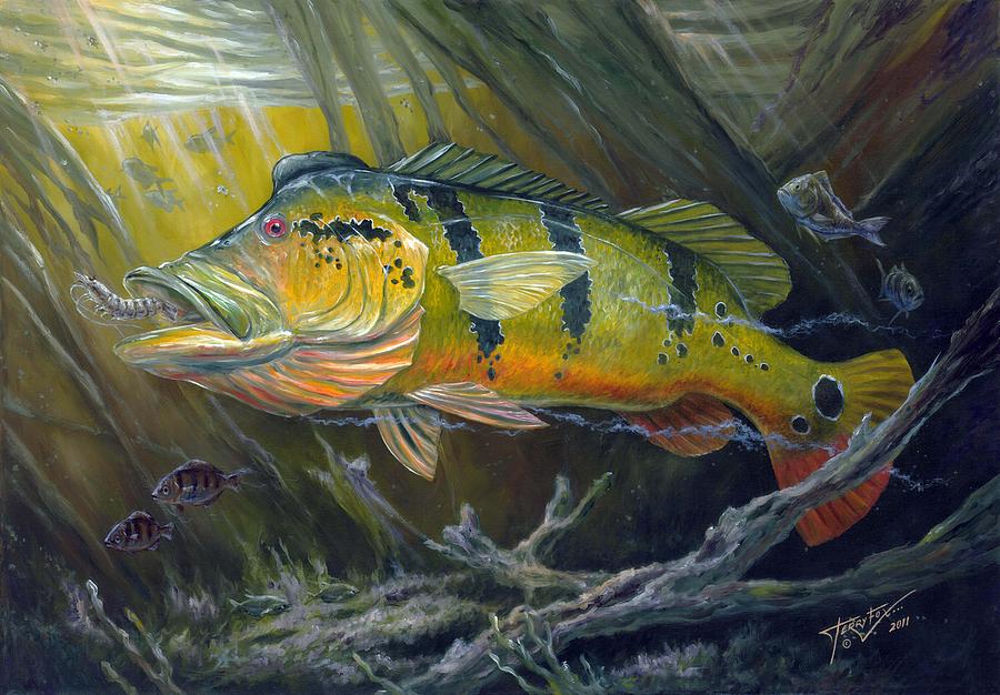 900x626 The Great Peacock Bass Painting By Terry Fox - Bass Painting