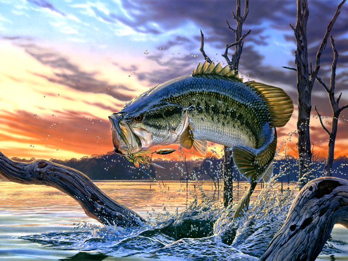 700x525 Bass Fishing Lake Sunset Painting Art Wall Print Poster Au Ebay - Bass Painting