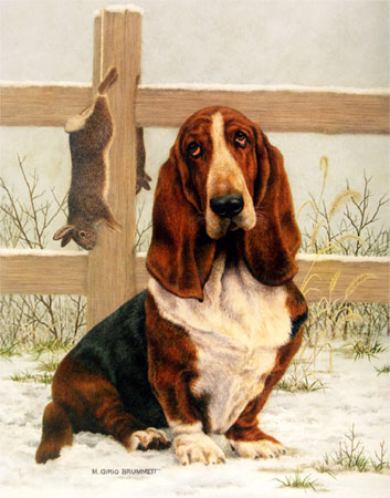 353x450 Marie Girio Brummett Art Print Basset Hound Dog - Basset Hound Painting