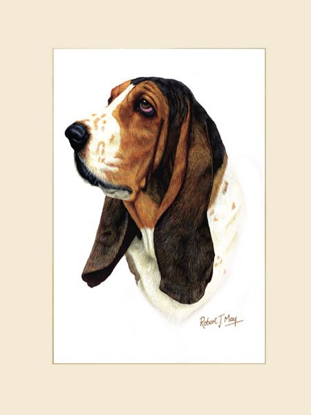 450x600 Basset Hound Painting Original Basset Hound Painting Original - Basset Hound Painting