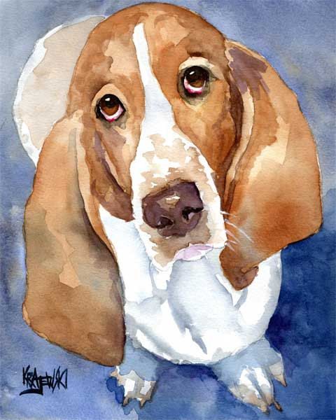 480x600 Basset Hound Art Print Of Original Watercolor Painting - Basset Hound Painting