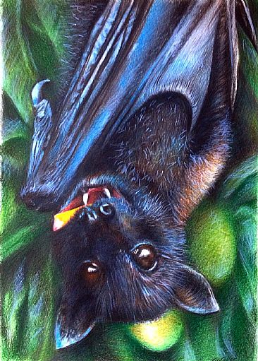 366x511 Fruit Bat - Bat Painting