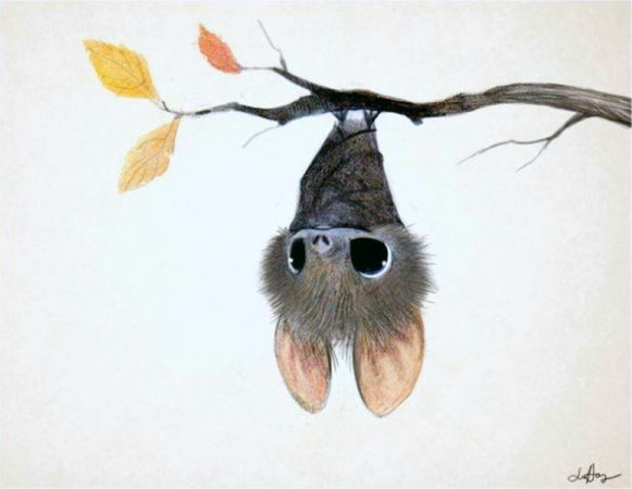 581x450 Bat Art Bats Rule - Bat Painting