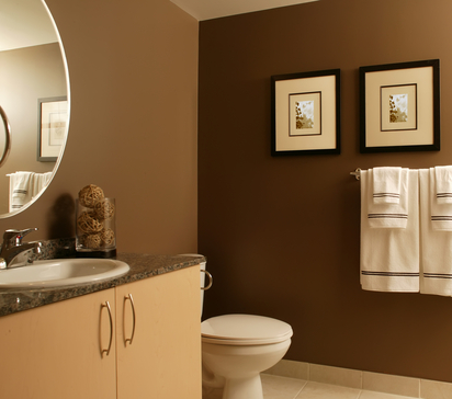 412x364 What Kind Bathroom Paint Should I Use A.g. Williams Painting - Bathroom Painting