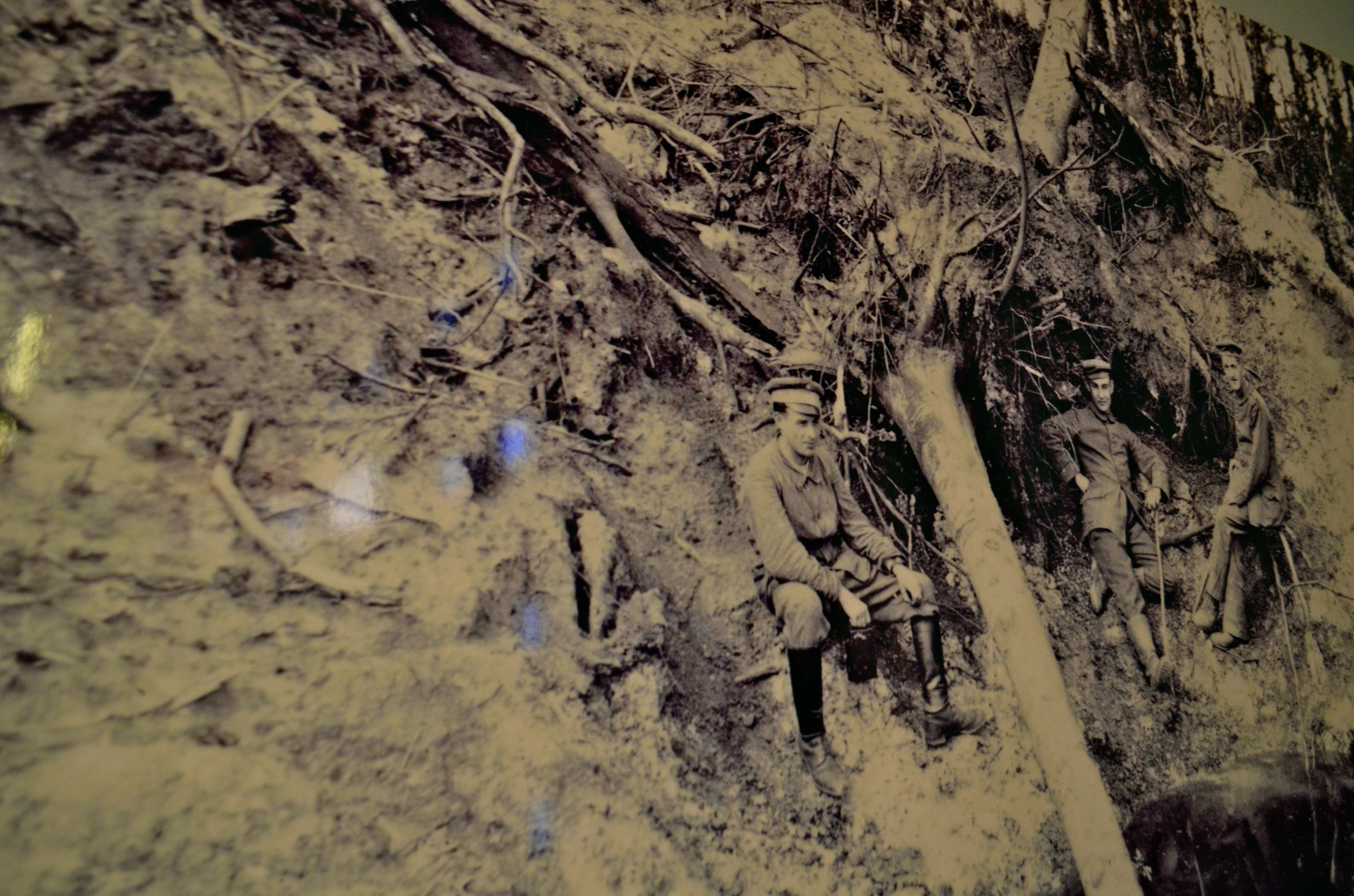 4928x3264 The Fields Of Verdun (Where They Had A Giant Battle In The War - Battle Of Verdun Painting