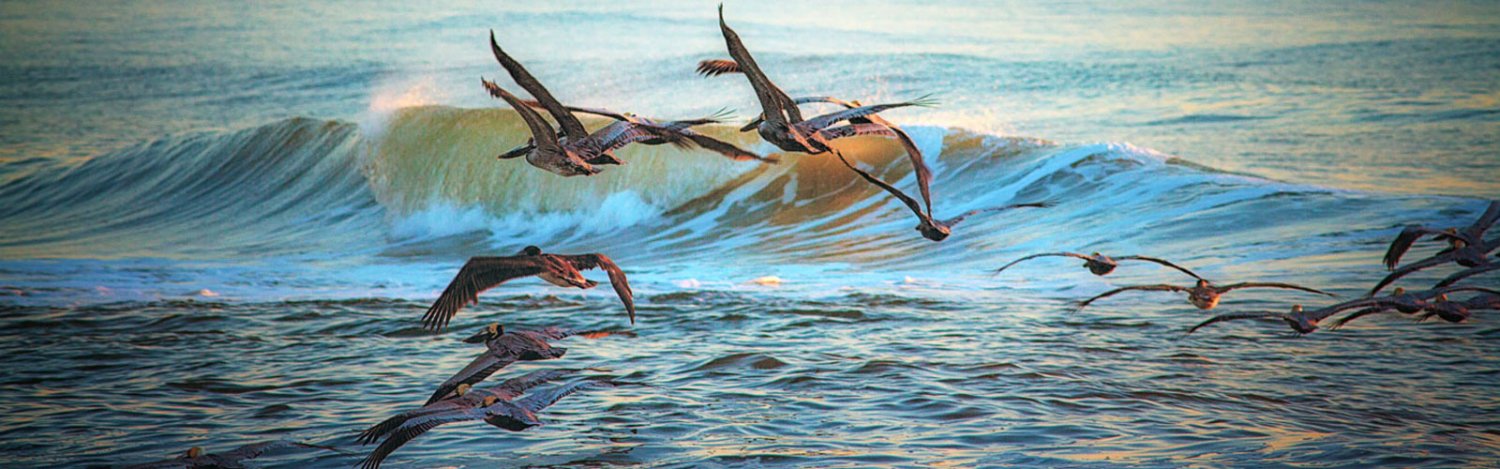 1500x469 Home - Beach Painting Obx