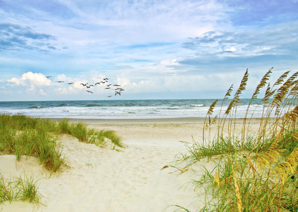 600x428 Huntington Beach Scene Greeting Card For Sale By Mike Covington - Beach Scene Acrylic Painting