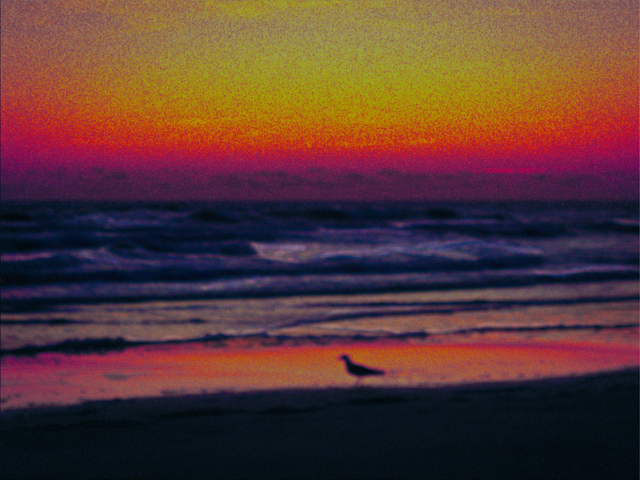 640x480 New Photo Art Titled Mystic Morning Dawn At The Beach Pastels - Beach Silhouette Painting