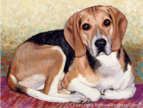 500x376 Beagle Painting By Richard Ancheta - Beagle Painting