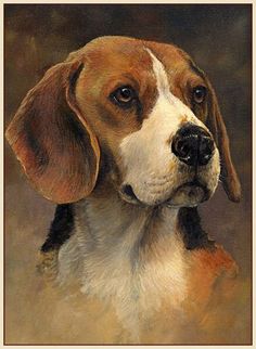 236x322 Beagle Puppy - Beagle Painting