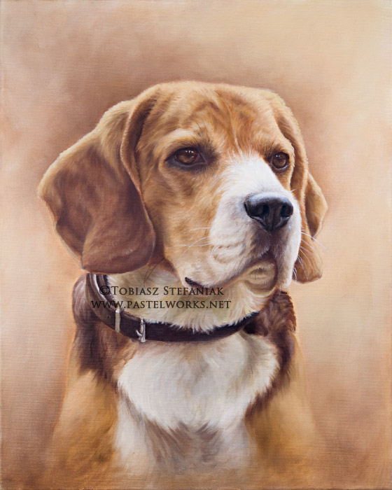 560x700 Beagle Oil Painting Pet Portraits Amp Animal Art - Beagle Painting