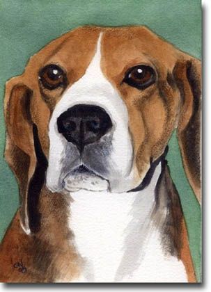 303x420 From A Watercolor Art Painting By Artist Christine Winship - Beagle Painting