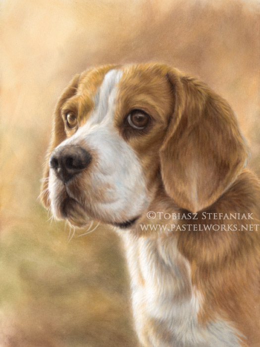 525x700 Painting Of Beagle Pet Portraits Amp Animal Art - Beagle Painting