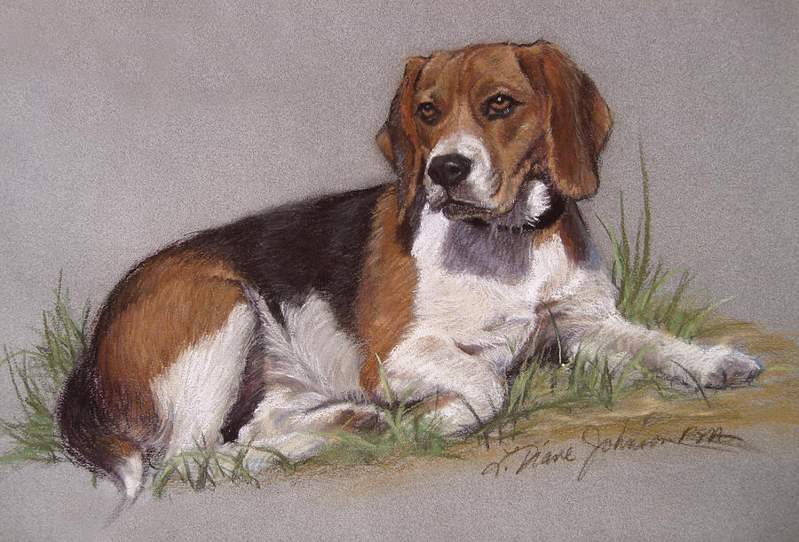 900x611 Regal Beagle Painting By L Diane Johnson - Beagle Painting