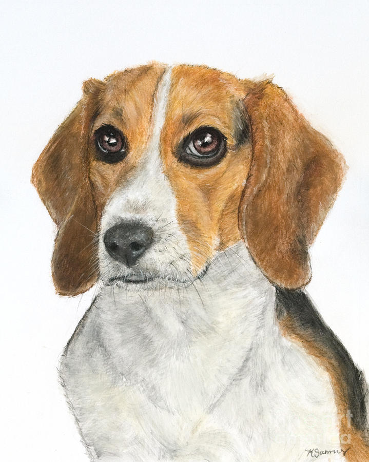 719x900 Beagle Painting Painting By Kate Sumners - Beagle Painting