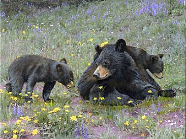 366x274 Bear With Cubs - Bear Cub Painting