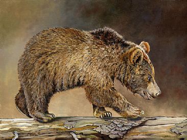 366x274 Grizzly Bear Cub - Bear Cub Painting