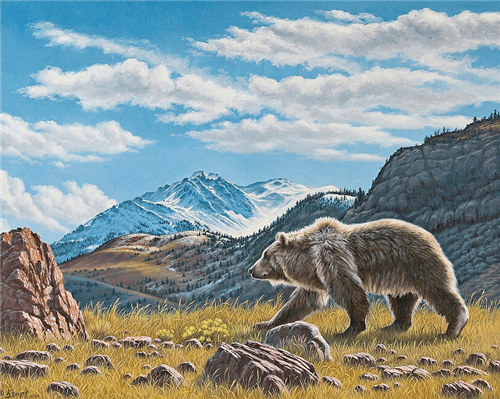 Bear Mountain Painting