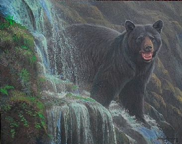 366x290 Black Bear - Bear Mountain Painting