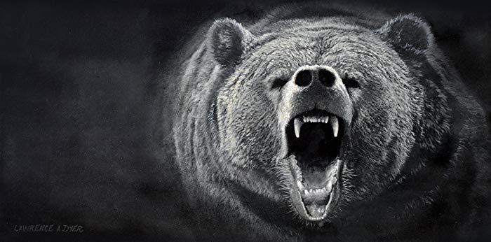 700x346 Grizzly Bear Kodiak Original Acrylic Painting By - Bear Mountain Painting