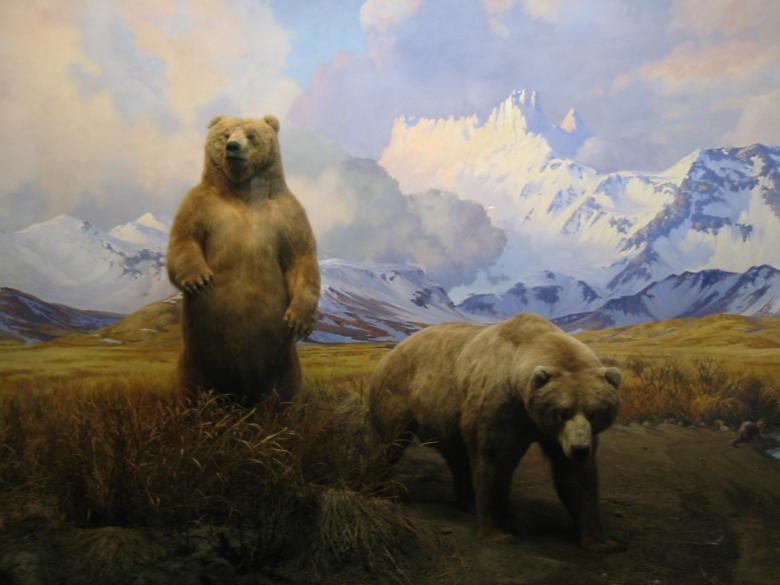 780x585 Grizzly Bear Mountain Scene - Bear Mountain Painting
