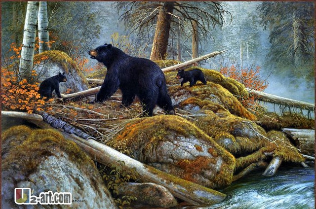 640x424 Bear Oil Paintings Canvas Office Art Cheap Modern Wall Decoration - Bear Oil Painting