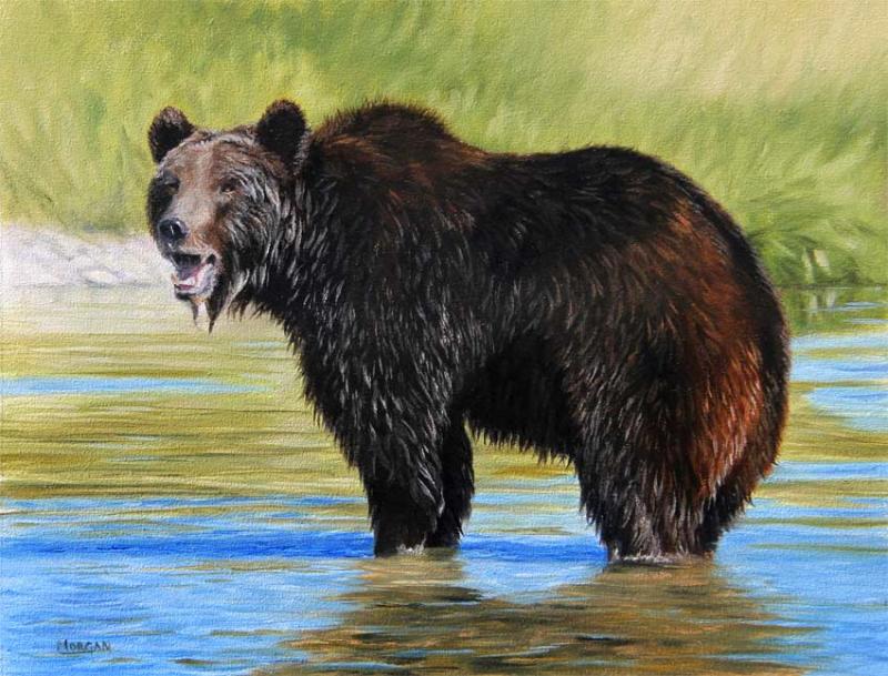 800x609 Grizzly Bear Painting - Bear Painting