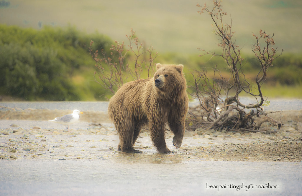 1024x666 Bear Painting - Bear Painting Images