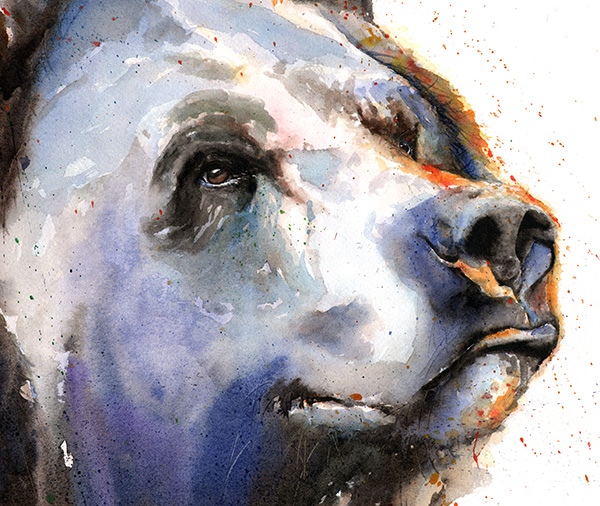 600x506 Grizzly Bear Watercolor Print Watercolor Animal Paintings - Bear Painting Images