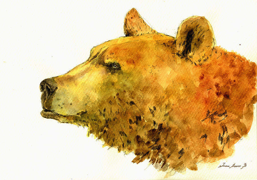 900x631 Grizzly Bear Watercolor Painting Painting By Juan Bosco - Bear Watercolor Painting