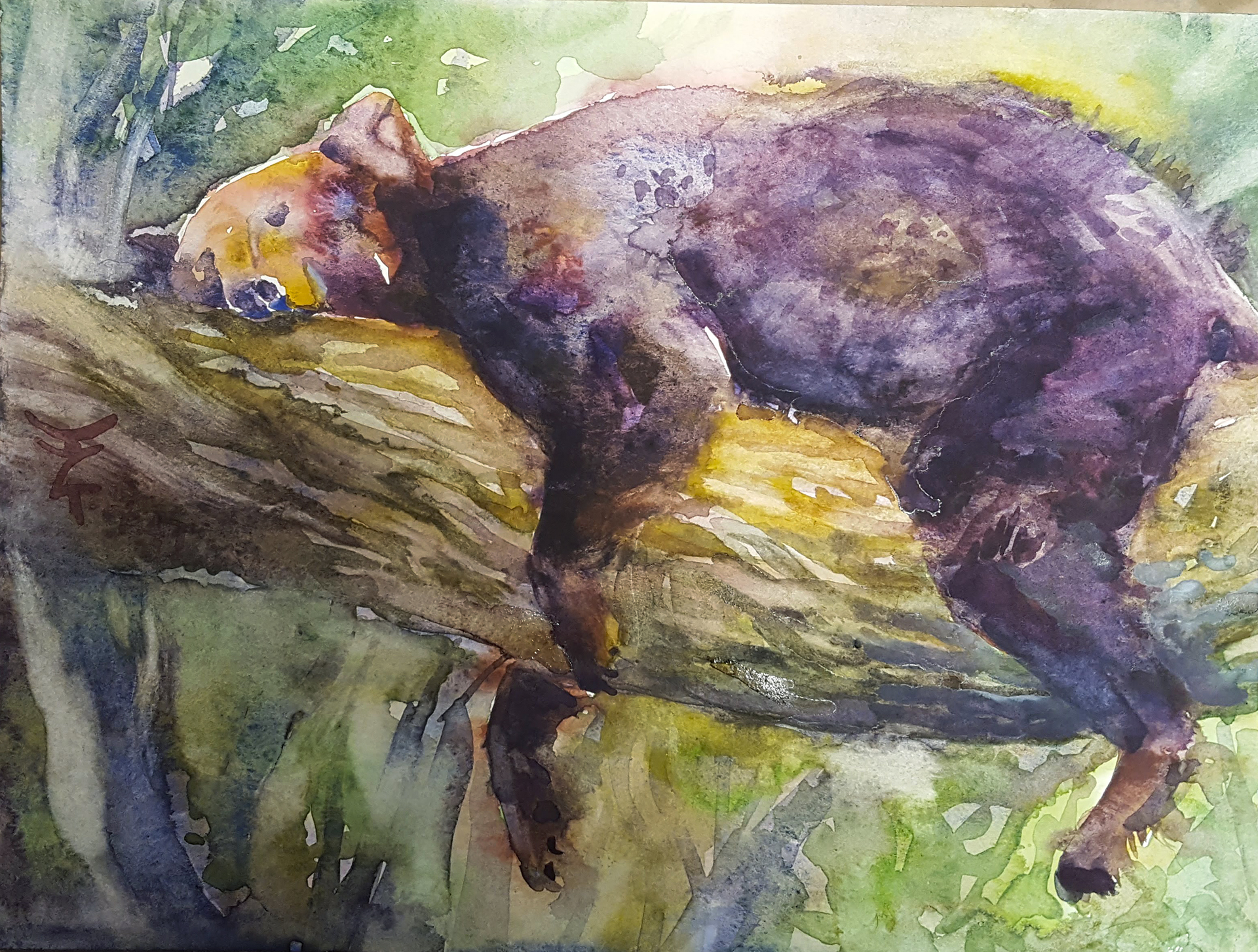 1920x1454 Bear Sweet Dreams Animal Watercolor Painting For Sale - Bear Watercolor Painting