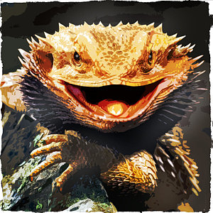 300x300 Bearded Dragon Paintings Fine Art America - Bearded Dragon Painting